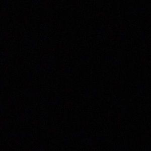 Meet your Posher, Leia